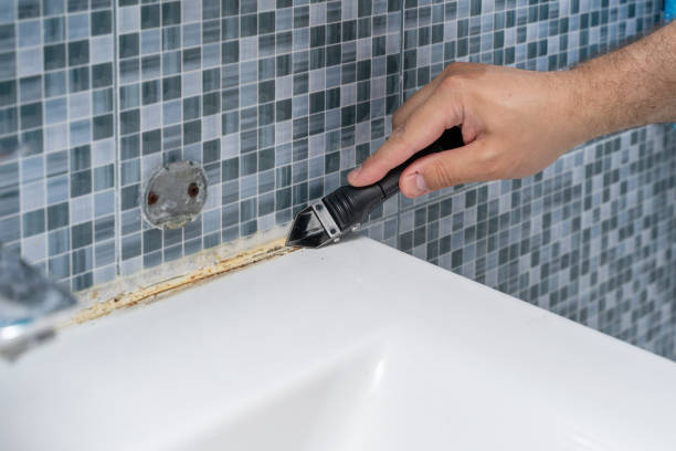 Home Mold Removal in Fort Clark Springs, TX